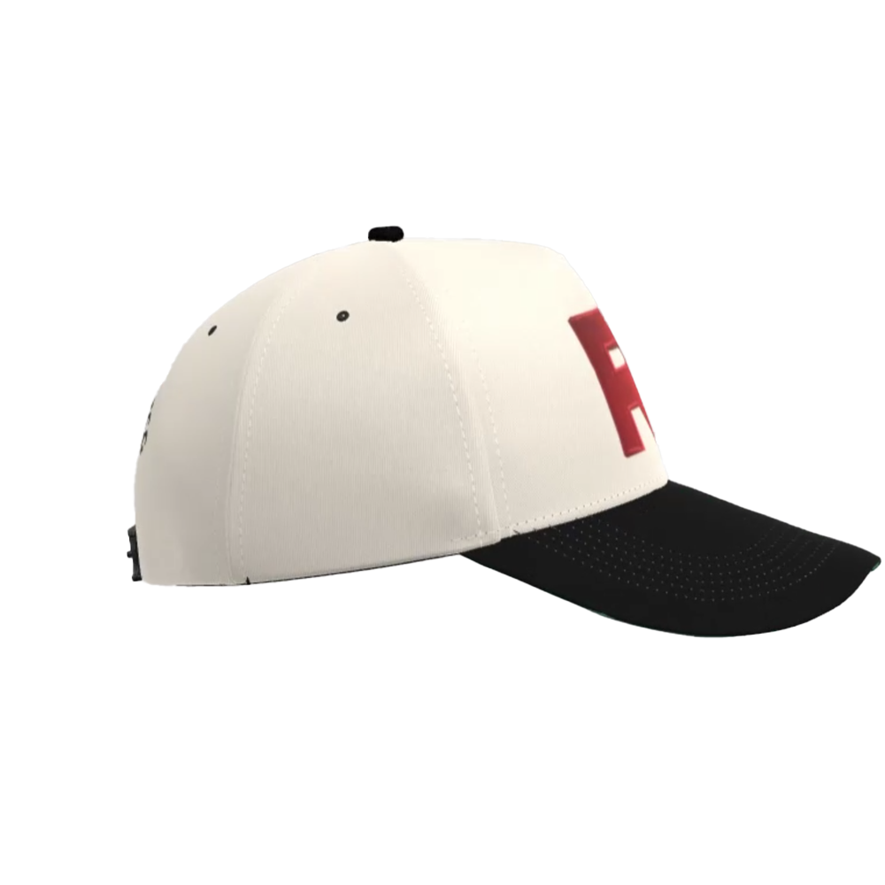 Villain Vibes Snap Back Hat